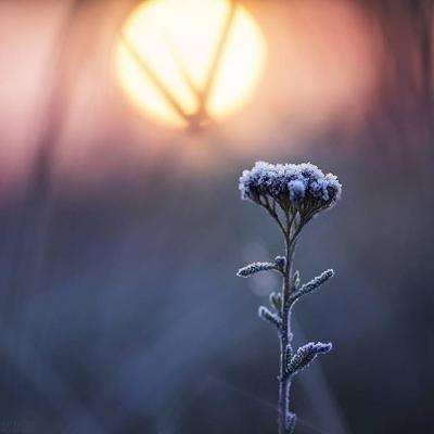 黎巴嫩总统：以色列与黎巴嫩冲突本可避免